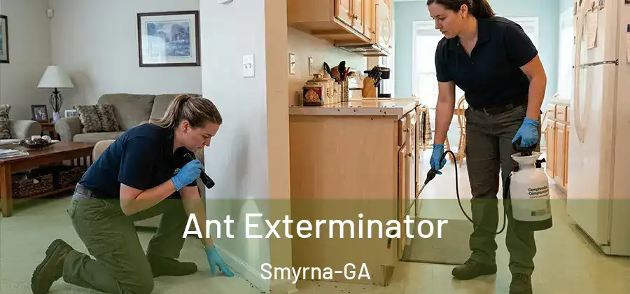  Ant Exterminator Smyrna-GA