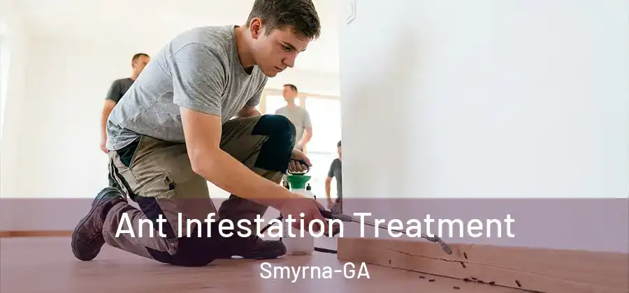 Ant Infestation Treatment Smyrna-GA