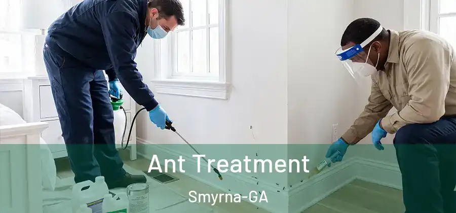  Ant Treatment Smyrna-GA