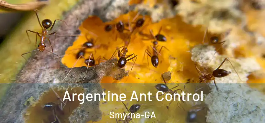 Argentine Ant Control Smyrna-GA