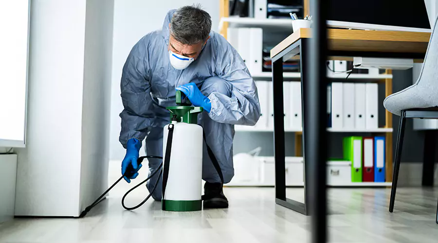 What Happens During a Professional Pest Control Inspection?