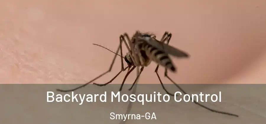 Backyard Mosquito Control Smyrna-GA