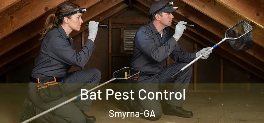  Bat Pest Control Smyrna-GA