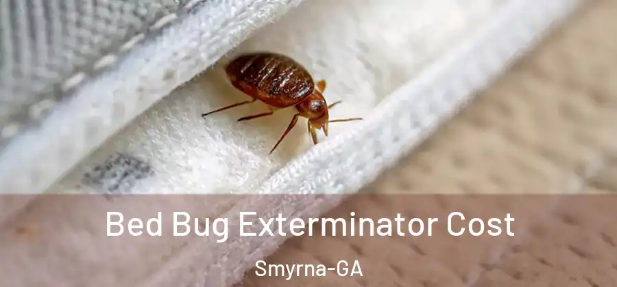 Bed Bug Exterminator Cost Smyrna-GA