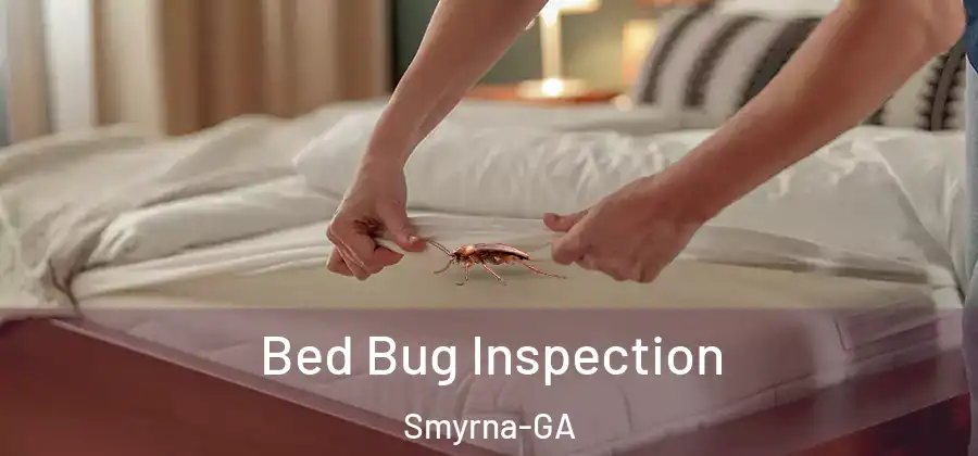  Bed Bug Inspection Smyrna-GA