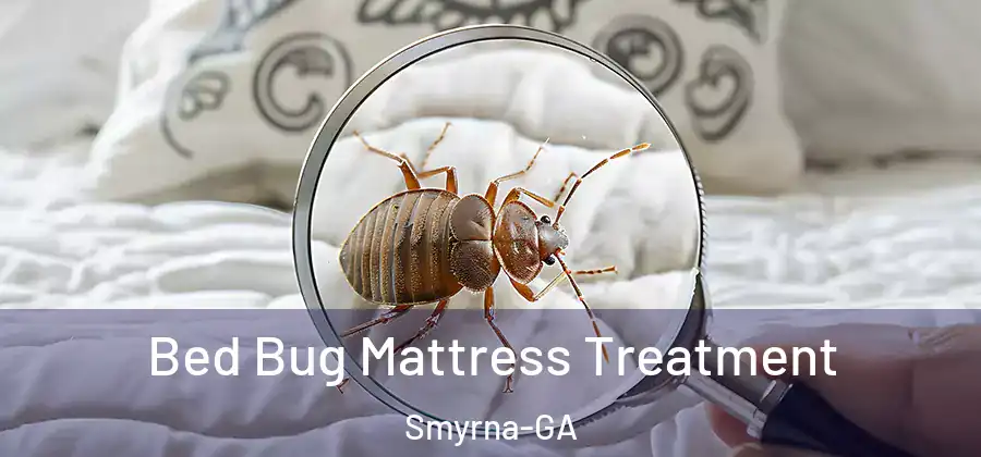 Bed Bug Mattress Treatment Smyrna-GA