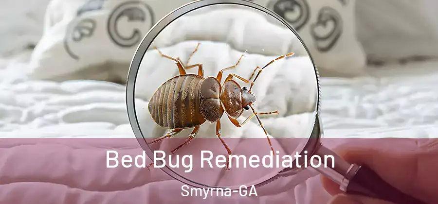 Bed Bug Remediation Smyrna-GA