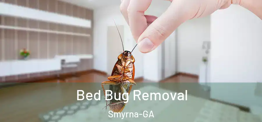 Bed Bug Removal Smyrna-GA