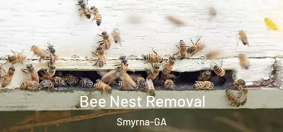 Bee Nest Removal Smyrna-GA