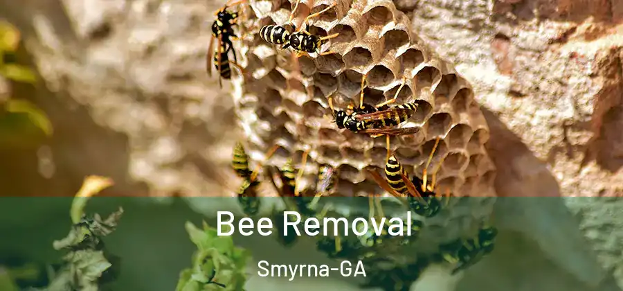 Bee Removal Smyrna-GA