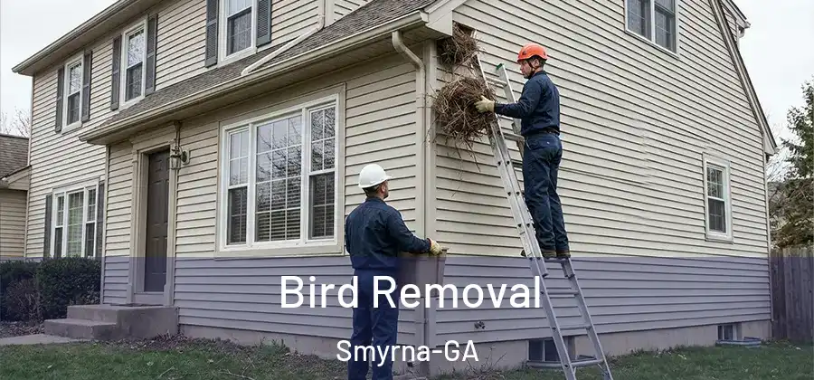 Bird Removal Smyrna-GA