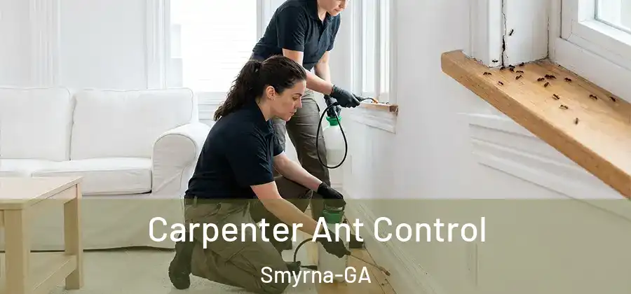  Carpenter Ant Control Smyrna-GA