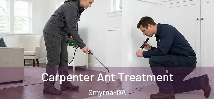 Carpenter Ant Treatment Smyrna-GA