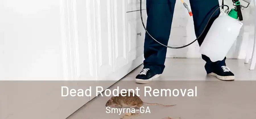 Dead Rodent Removal Smyrna-GA