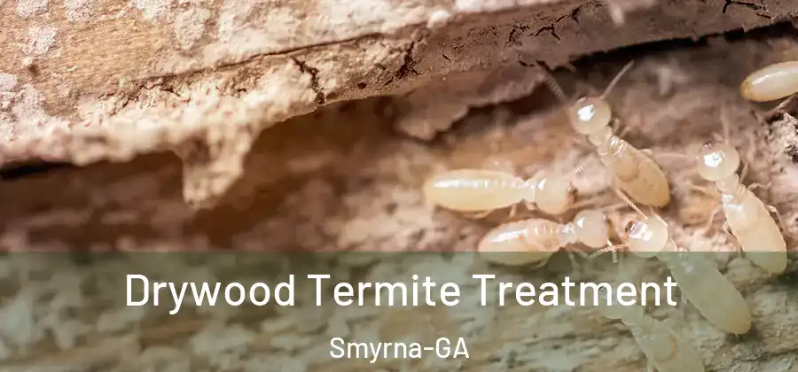 Drywood Termite Treatment Smyrna-GA