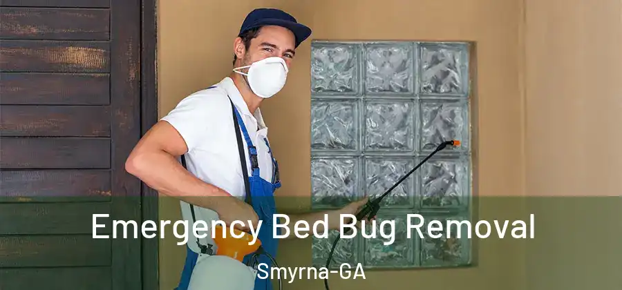 Emergency Bed Bug Removal Smyrna-GA