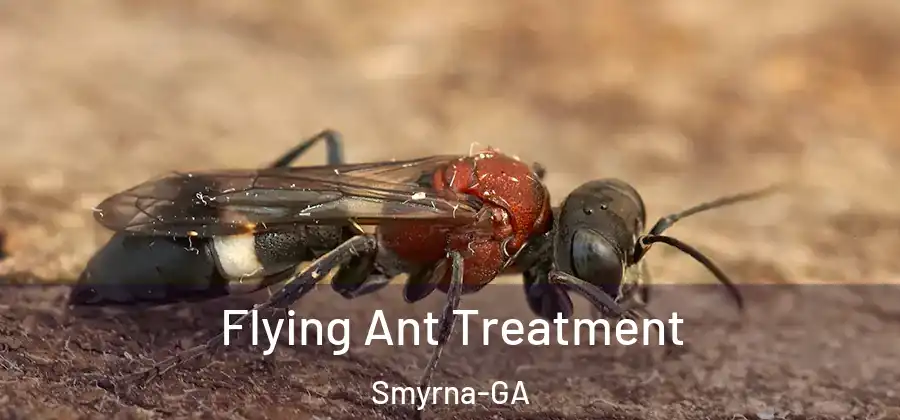 Flying Ant Treatment Smyrna-GA