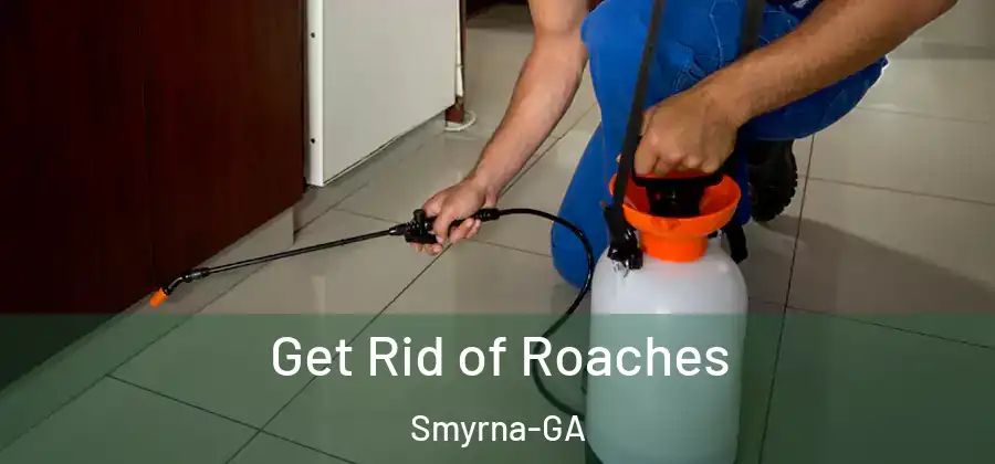 Get Rid of Roaches Smyrna-GA