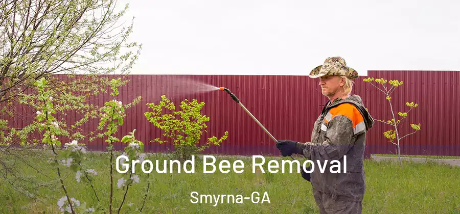 Ground Bee Removal Smyrna-GA