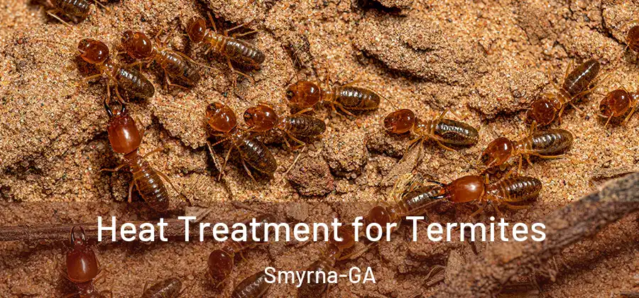 Heat Treatment for Termites Smyrna-GA