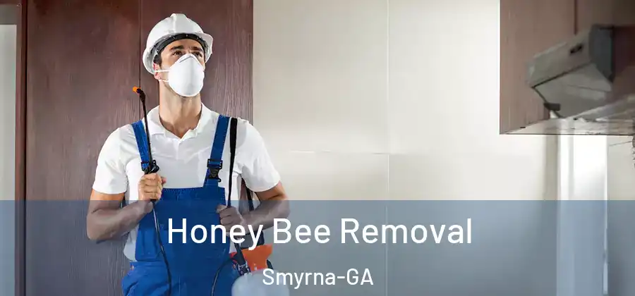 Honey Bee Removal Smyrna-GA