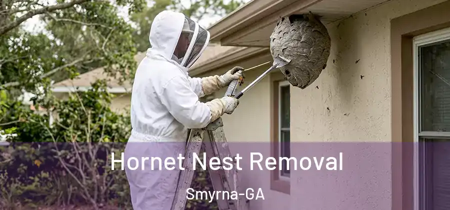 Hornet Nest Removal Smyrna-GA
