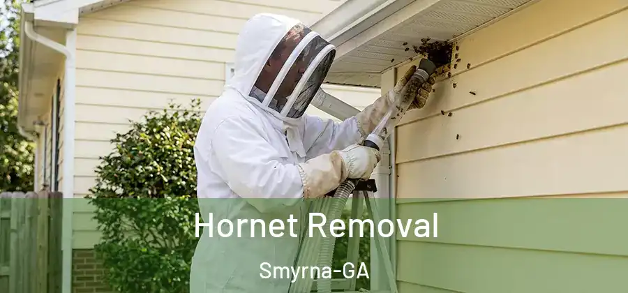 Hornet Removal Smyrna-GA