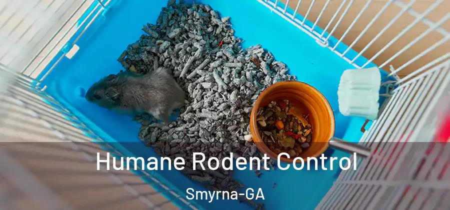  Humane Rodent Control Smyrna-GA