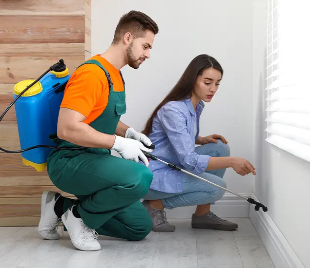 Trusted Affordable Bed Bug Treatment Experts in Smyrna, GA