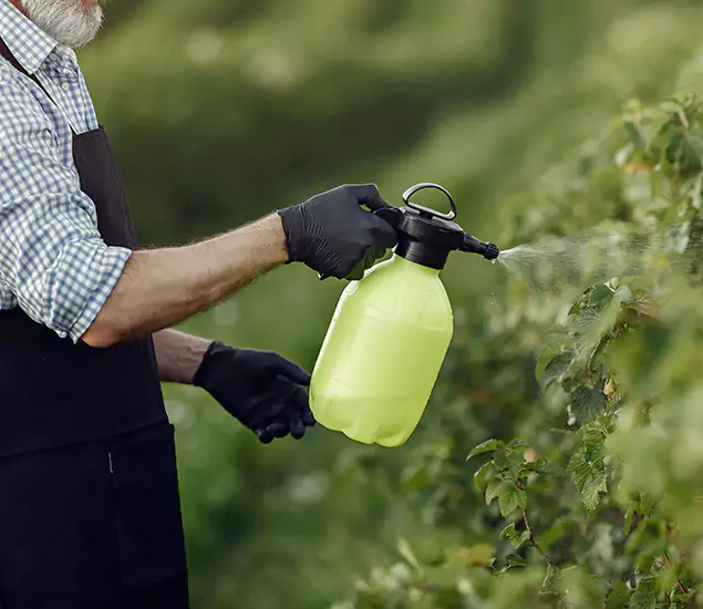 Your Proven Mosquito Treatment Company in Smyrna, GA