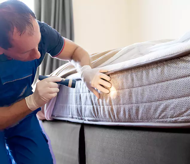 Trusted Bed Bug Cost Experts in Smyrna, GA