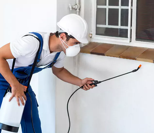Your Professional Cockroach Exterminator in Smyrna, GA