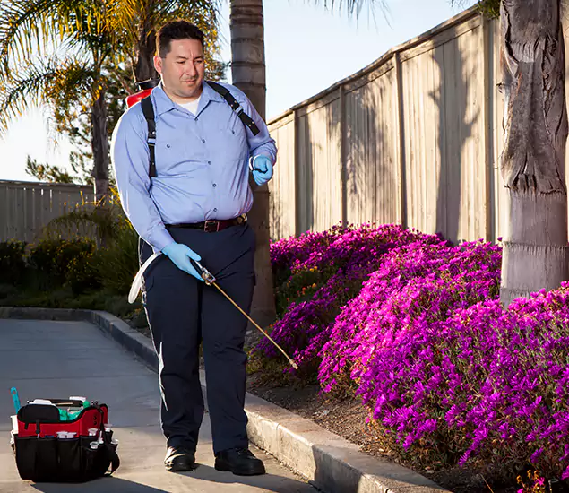 About Our Eco Safe Pest Control Experts in Smyrna, GA