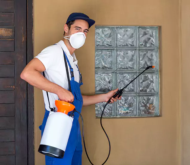 Your Reliable Pest Control in Smyrna, GA