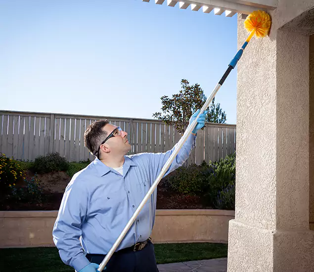 Trusted Experts in Smyrna GA for Formosan Termite Treatment and Black Termite Control