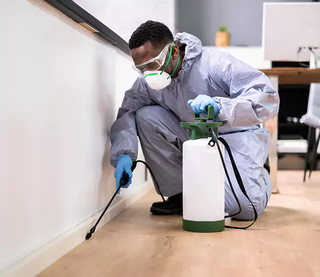 Leading Industrial Pest Control Experts Serving Smyrna, GA