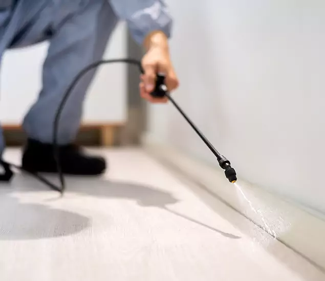 About Our Liquid Termite Treatment Experts in Smyrna, GA