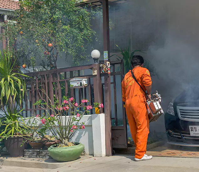 Your Proven Mosquito Fogging Company in Smyrna, GA