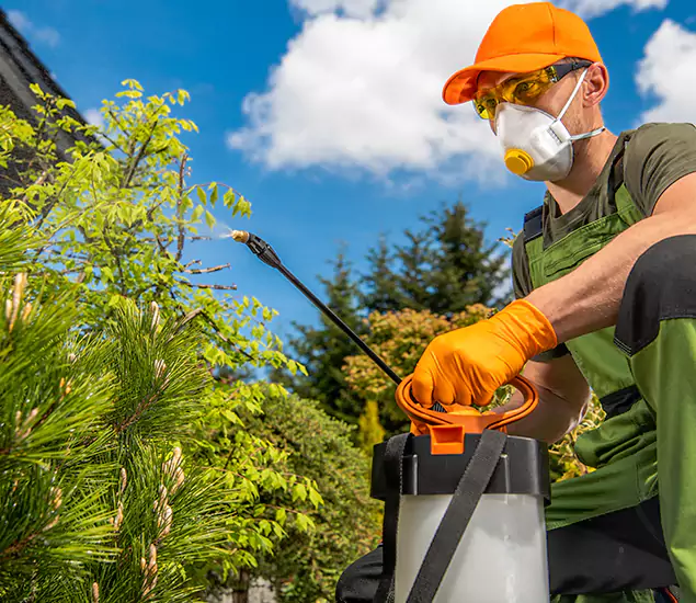Your Best Bug Spray for Home Team in Smyrna, GA