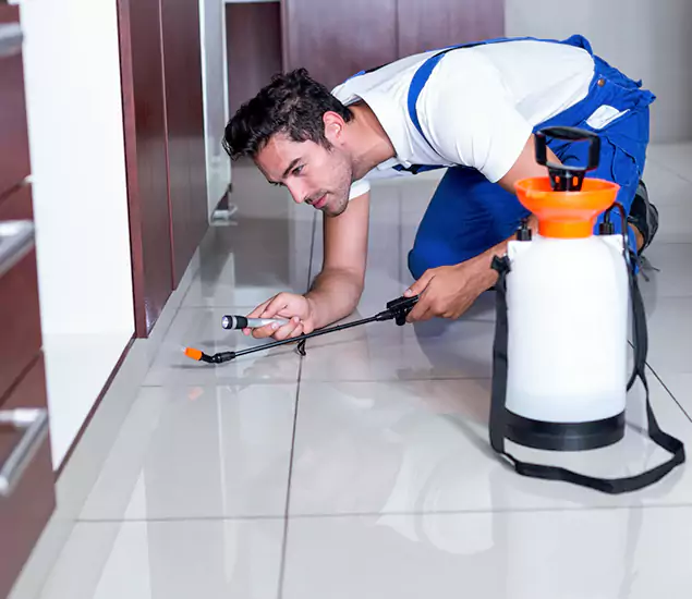 Reliable Professional Mouse Removal: Your Best Mouse Control Company in Smyrna, GA
