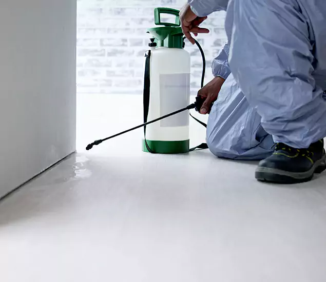 Affordable Pest Control Experts in Smyrna, GA