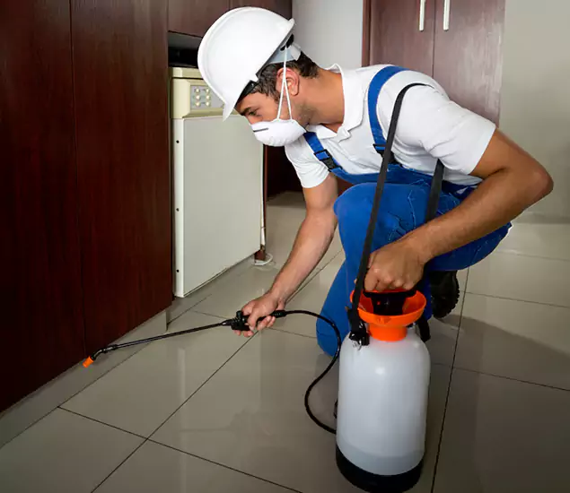 Advanced Termite Pre Treatment Experts in Smyrna, GA