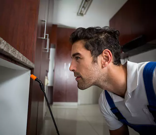Expert Rodent in Attic Removal: Your Proven Pest Specialists in Smyrna, GA