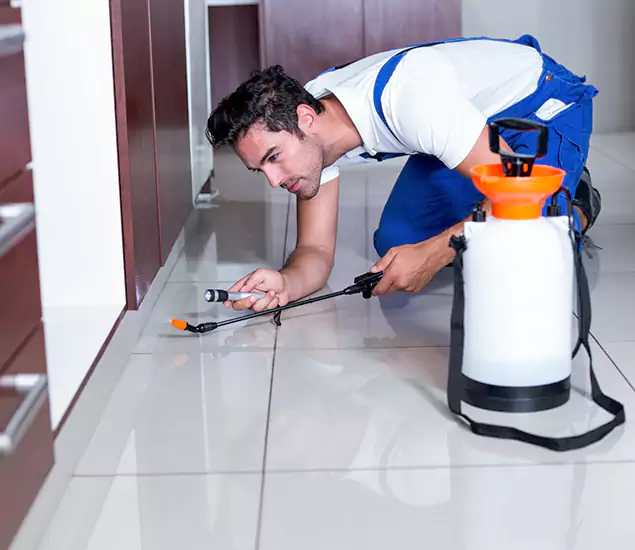 Advanced Slab Termite Treatment Experts You Can Trust&nbsp;in Smyrna, GA