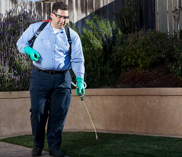 Reliable Termite Barrier Treatment Experts in Smyrna, GA