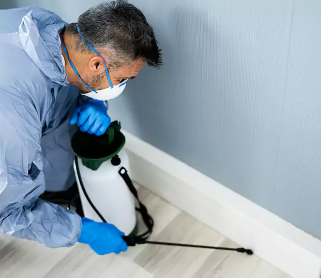 Reliable Termite Cost Experts in Smyrna, GA