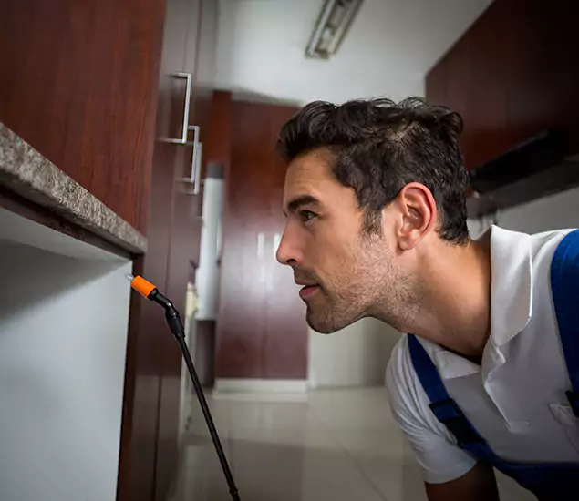 Termite Inspection Cost Experts You Can Trust in Smyrna, GA