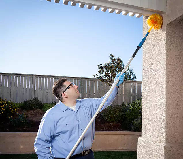 Your Trusted Wasp Removal Company in Smyrna, GA