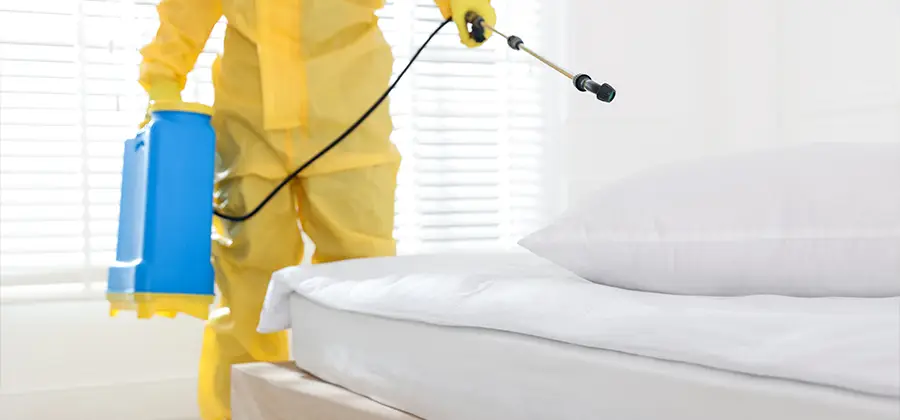 Targeted Chemical Application in Smyrna
