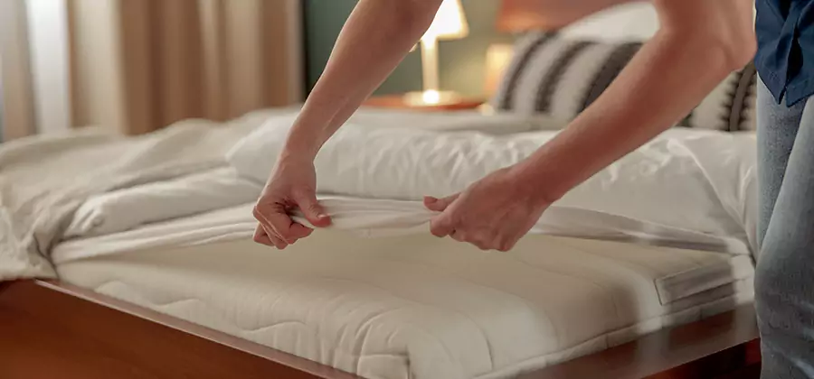 Bed Bug Extermination Services in Smyrna
